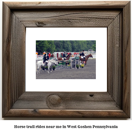 horse trail rides near me in West Goshen, Pennsylvania